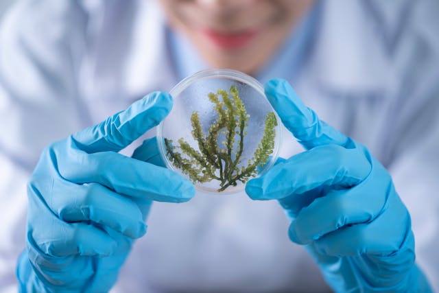 STEM research in Tampa Bay lab supporting science and innovation growth